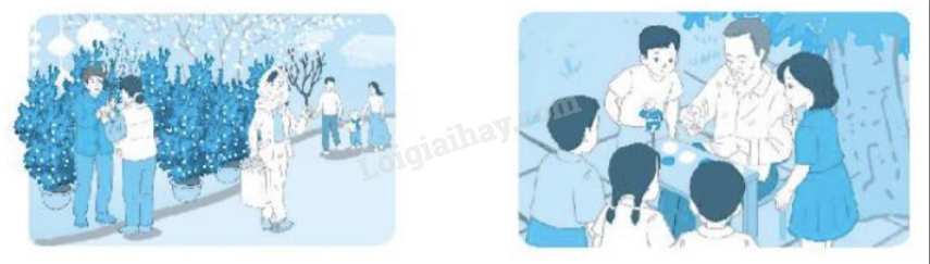 20240618152904ck4 20240618152904ck4