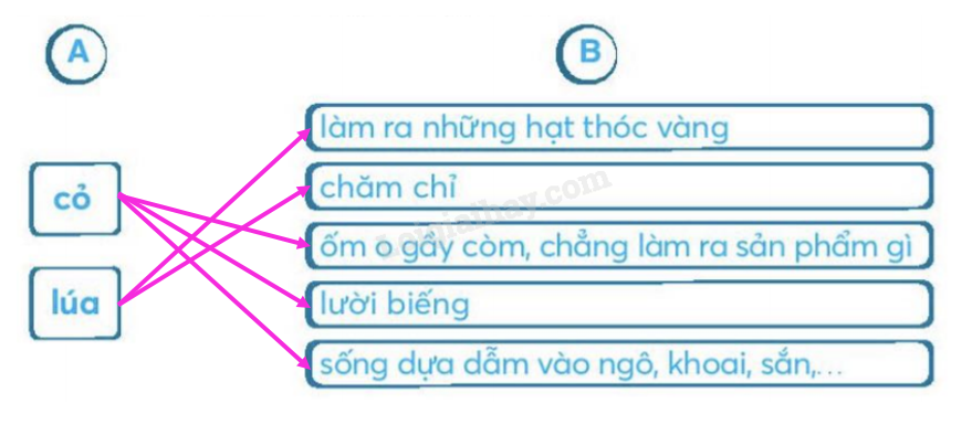 20240618152904ck8b-da 20240618152904ck8b da