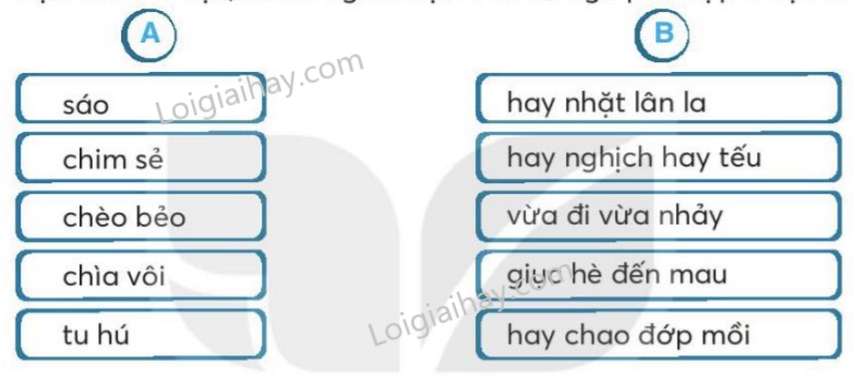 202406181529269-1-1 202406181529269 1 1