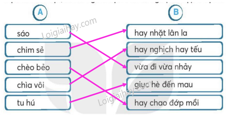 202406181529269-2 202406181529269 2