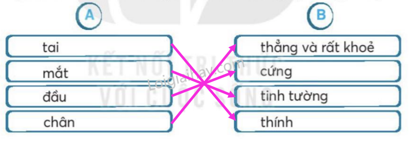 2024061815292810 1 1