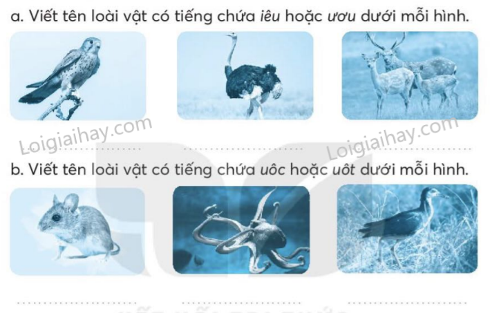 2024061815292810 2 1