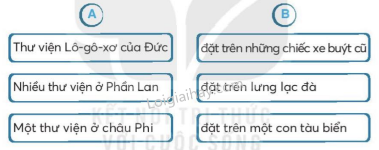 2024061815294418 1 1