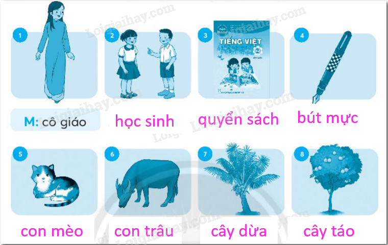 20240619014305131-da 20240619014305131 da