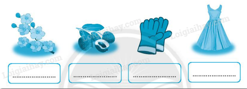 20240619014315243 20240619014315243