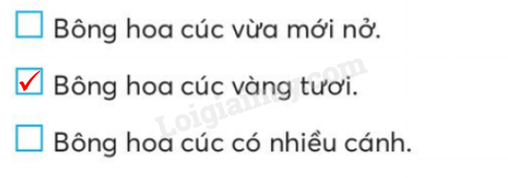 20240619014318312 da