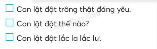 20240619014343511 20240619014343511