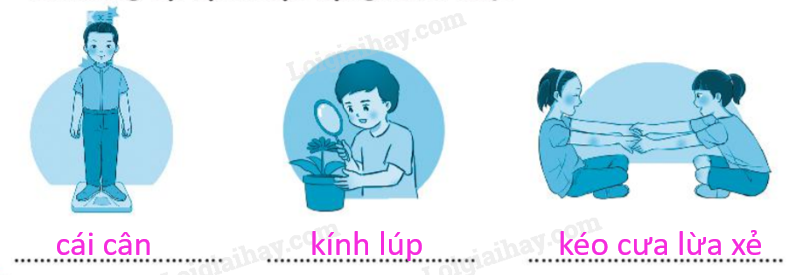 20240619014350542 da