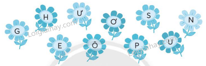 2024061901442211 1 1