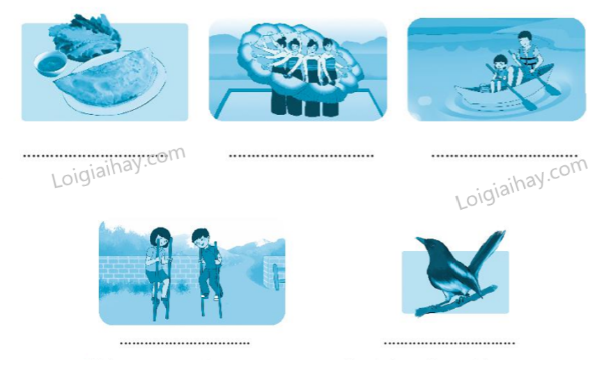 2024061901442312 1 1