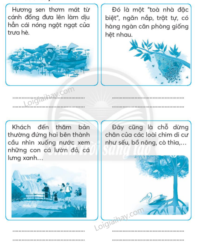 Giải Câu 1, 2, 3, 4, 5 Bài Ôn tập giữa học kì 2 - Ôn tập 2 VBT Tiếng Việt lớp 2 - Chân trời sáng tạo tập 2: Các bạn có biết? 1 20240619014452gk2 1