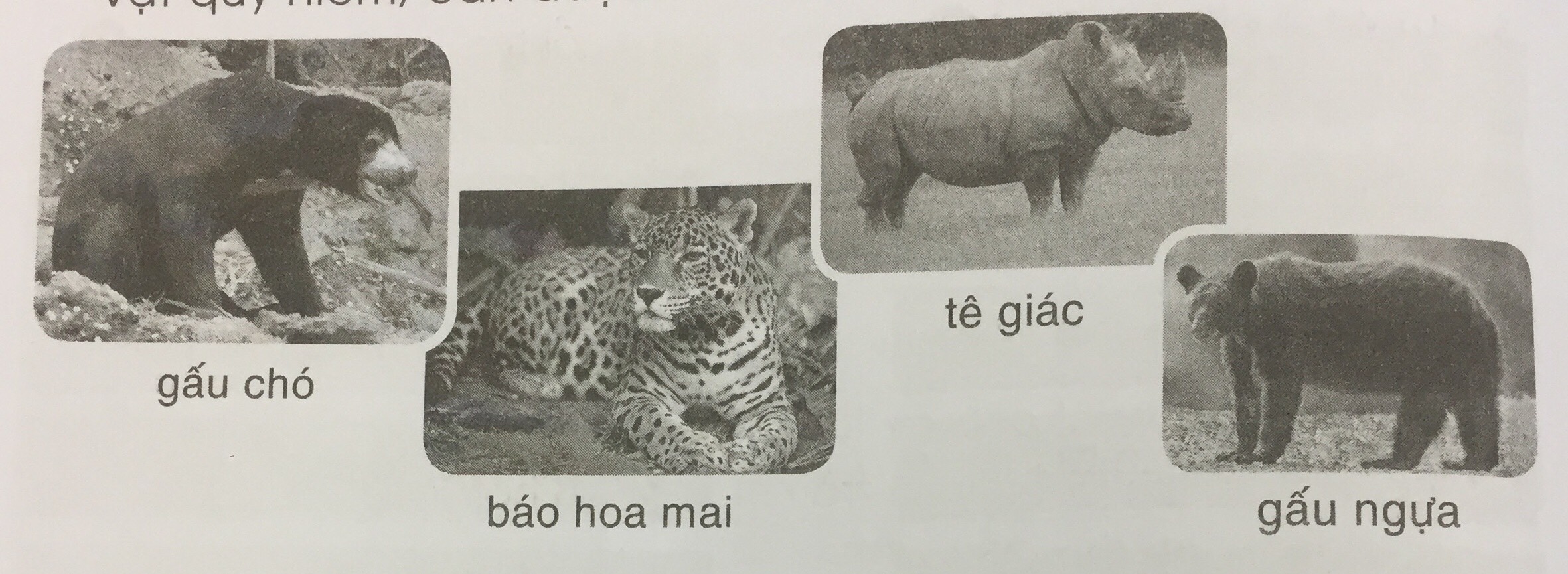 20240619014628251-5 20240619014628251 5