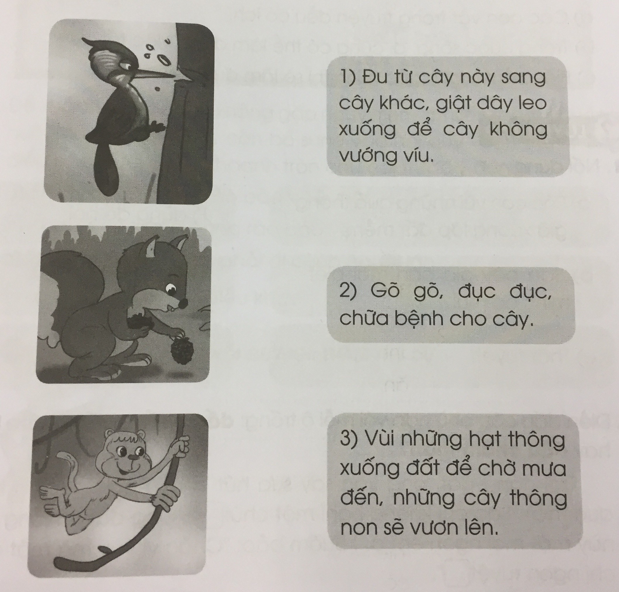 20240619014633262 1 1