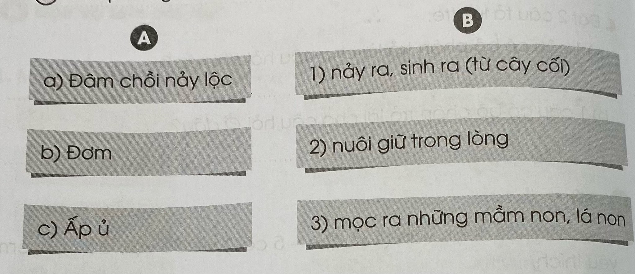 20240619014641281 1 1