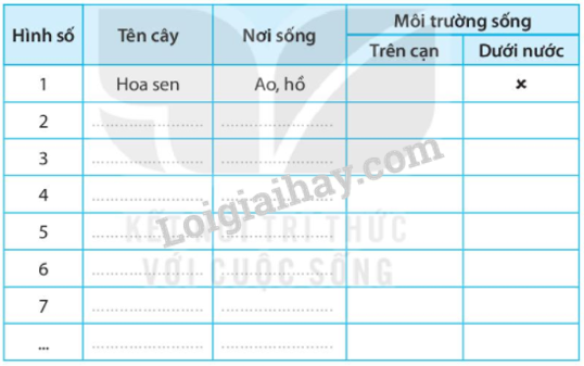 20240619021319giai bai 16 thuc vat song o dau trang 42 43 vo bai tap tu nhien va xa hoi lop 2 sach ket noi tri thuc 1680064417 1