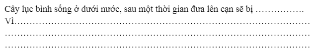 20240619021320iai bai 16 thuc vat song o dau trang 42 43 vo bai tap tu nhien va xa hoi lop 2 sach ket noi tri thuc 1680064417 1 1