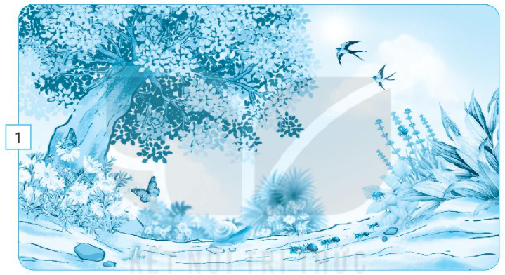 20240619021327giai bai 18 can lam gi de bao ve moi truong song cua thuc vat va dong vat trang 47 48 49 vo bai tap tu nhien va xa hoi lop 2 sach ket noi tri thuc 1680064427