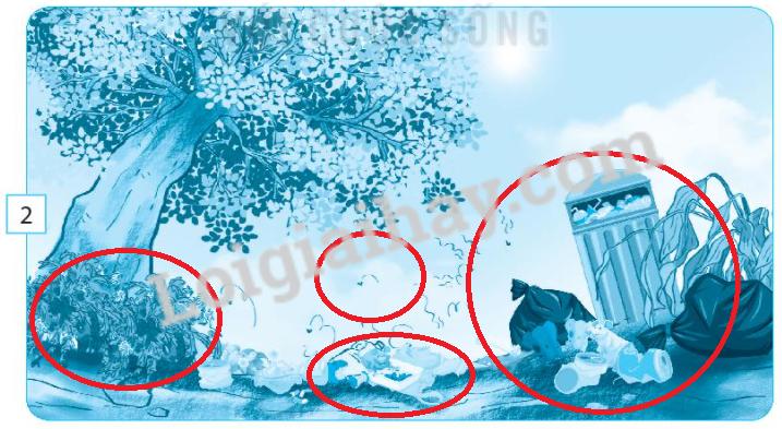 20240619021327iai bai 18 can lam gi de bao ve moi truong song cua thuc vat va dong vat trang 47 48 49 vo bai tap tu nhien va xa hoi lop 2 sach ket noi tri thuc 1680064427 7