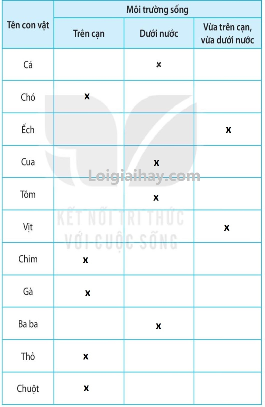 20240619021942iai-bai-17-dong-vat-song-o-dau-trang-44-45-46-vo-bai-tap-tu-nhien-va-xa-hoi-lop-2-sach-ket-noi-tri-thuc-1680064423_3 20240619021942iai bai 17 dong vat song o dau trang 44 45 46 vo bai tap tu nhien va xa hoi lop 2 sach ket noi tri thuc 1680064423 3