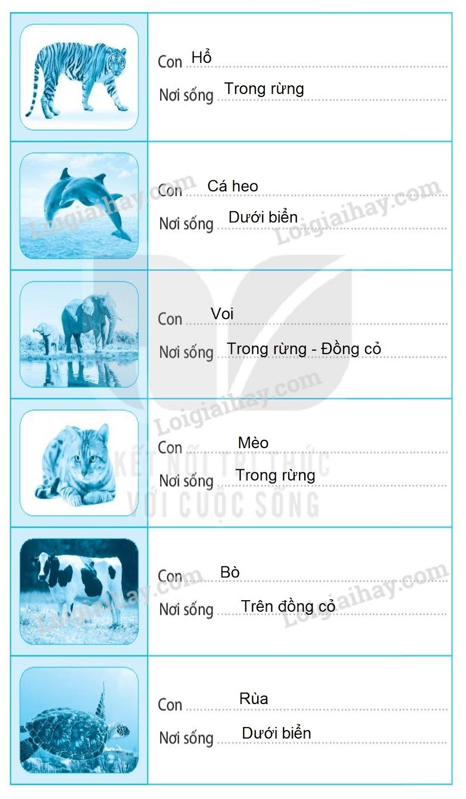 20240619021942iai-bai-17-dong-vat-song-o-dau-trang-44-45-46-vo-bai-tap-tu-nhien-va-xa-hoi-lop-2-sach-ket-noi-tri-thuc-1680064423_4 20240619021942iai bai 17 dong vat song o dau trang 44 45 46 vo bai tap tu nhien va xa hoi lop 2 sach ket noi tri thuc 1680064423 4