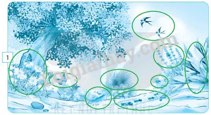 20240619021945iai-bai-18-can-lam-gi-de-bao-ve-moi-truong-song-cua-thuc-vat-va-dong-vat-trang-47-48-49-vo-bai-tap-tu-nhien-va-xa-hoi-lop-2-sach-ket-noi-tri-thuc-1680064427_6 20240619021945iai bai 18 can lam gi de bao ve moi truong song cua thuc vat va dong vat trang 47 48 49 vo bai tap tu nhien va xa hoi lop 2 sach ket noi tri thuc 1680064427 6