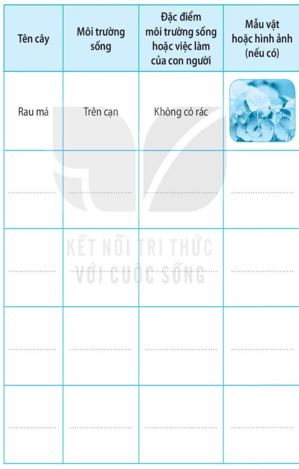 20240619021949giai bai 19 thuc vat va dong vat quanh em trang 50 51 52 vo bai tap tu nhien va xa hoi lop 2 sach ket noi tri thuc 1680064444