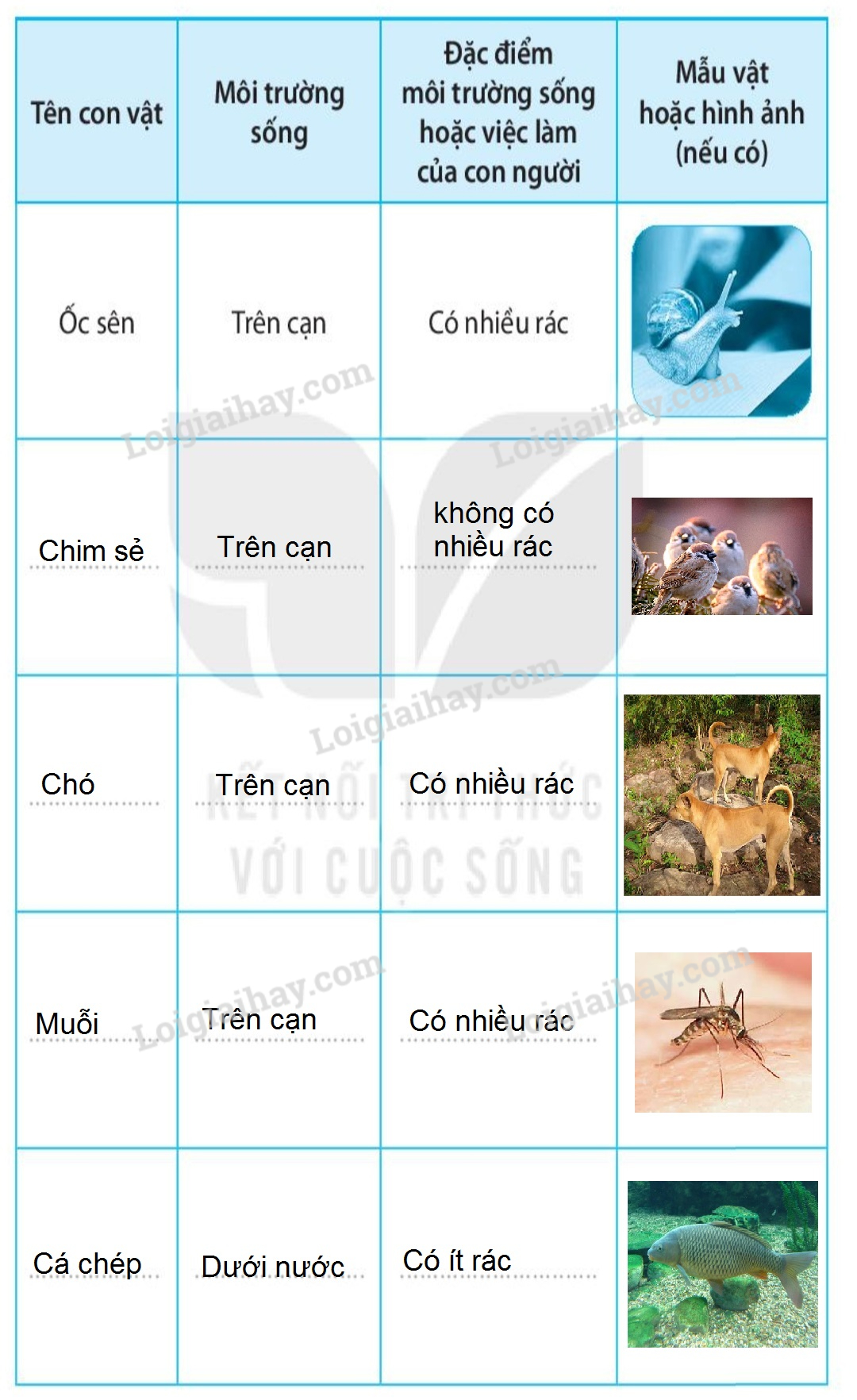 20240619021949hinh 2 trang 51 1