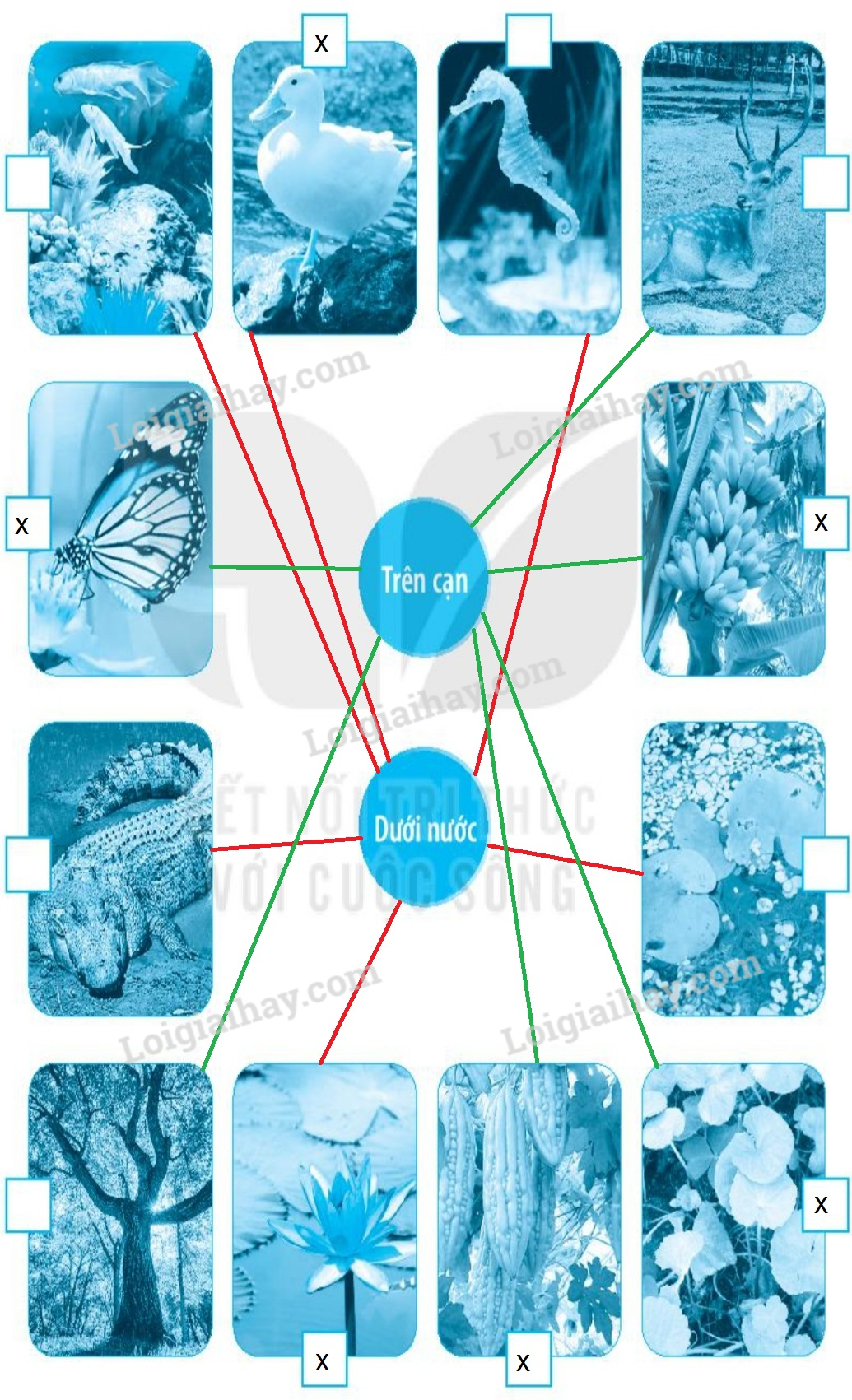 20240619021949hinh 3 trang 51