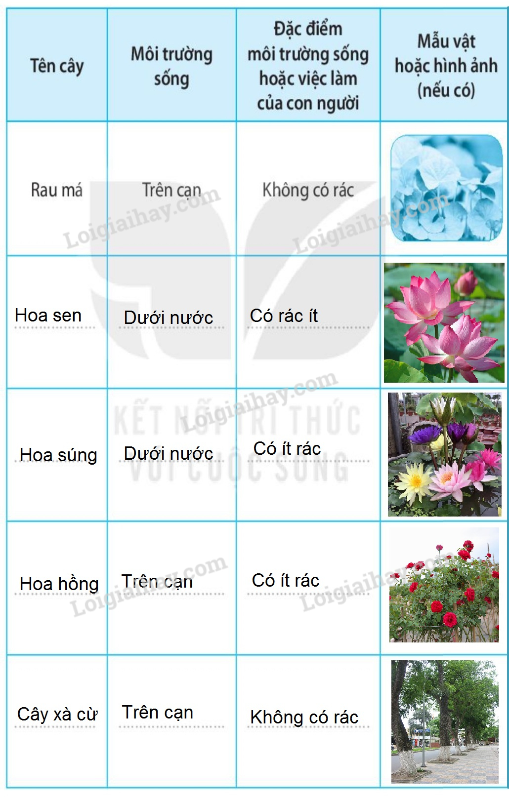 20240619021949screenshot 20211211 110340 chrome