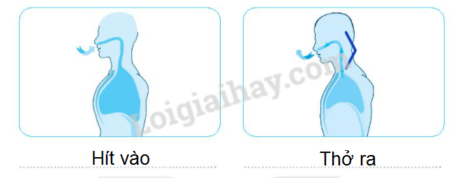 20240619022000hinh 3 trang 61