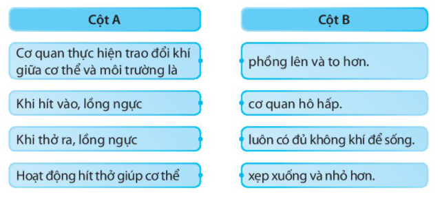 20240619022000iai bai 23 tim hieu co quan ho hap trang 60 61 vo bai tap tu nhien va xa hoi lop 2 sach ket noi tri thuc 1680064515 1