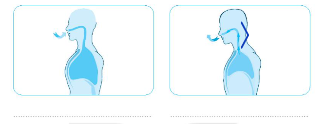 20240619022000iai bai 23 tim hieu co quan ho hap trang 60 61 vo bai tap tu nhien va xa hoi lop 2 sach ket noi tri thuc 1680064515 2