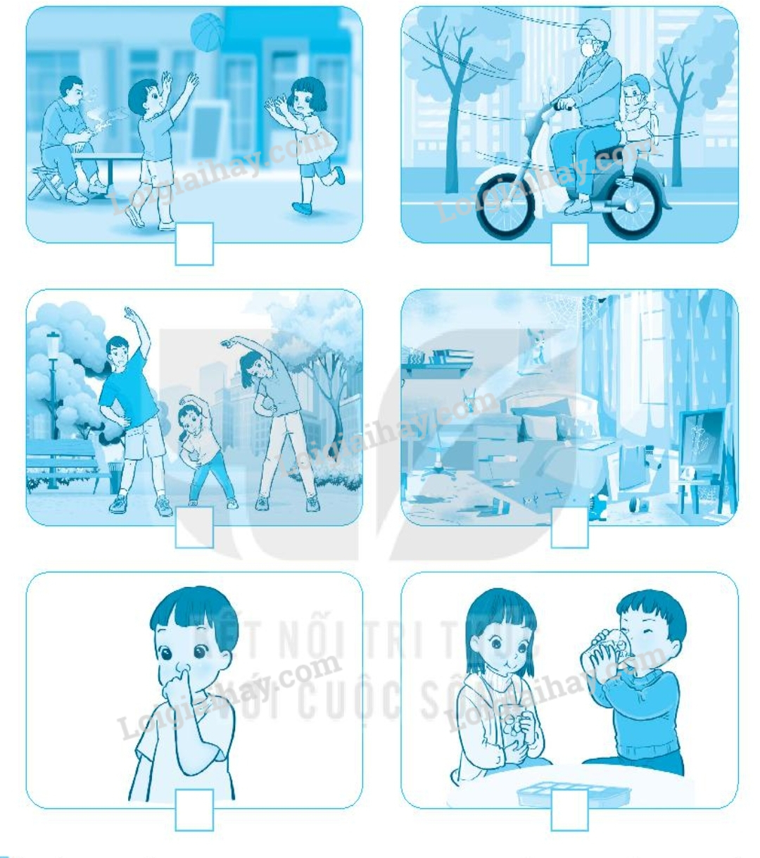 20240619022003hinh 2 trang 63