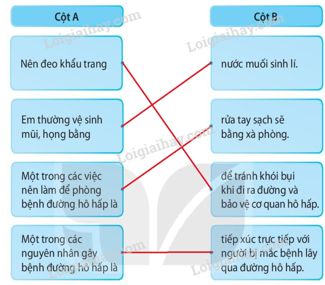 20240619022003hinh 4 trang 64