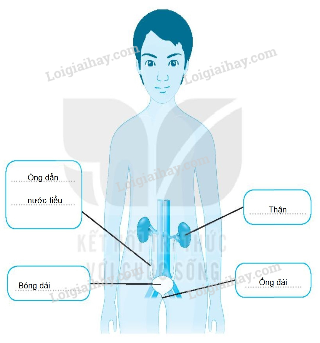20240619022006hinh 1 trang 65