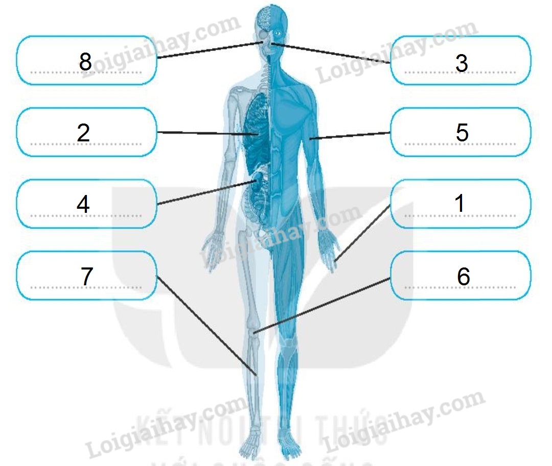 20240619022011screenshot 20211215 084636 chrome