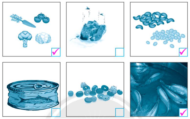 2024061902274692 2024061902274692