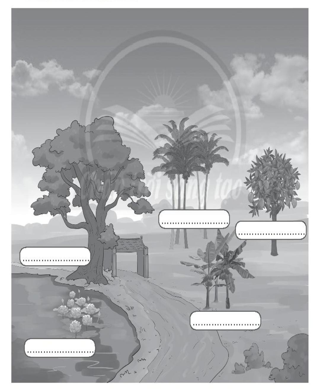 20240619022750giai bai 14 thuc vat song o dau trang 42 43 44 vo bai tap tu nhien va xa hoi lop 2 sach chan troi sang tao 1680064556