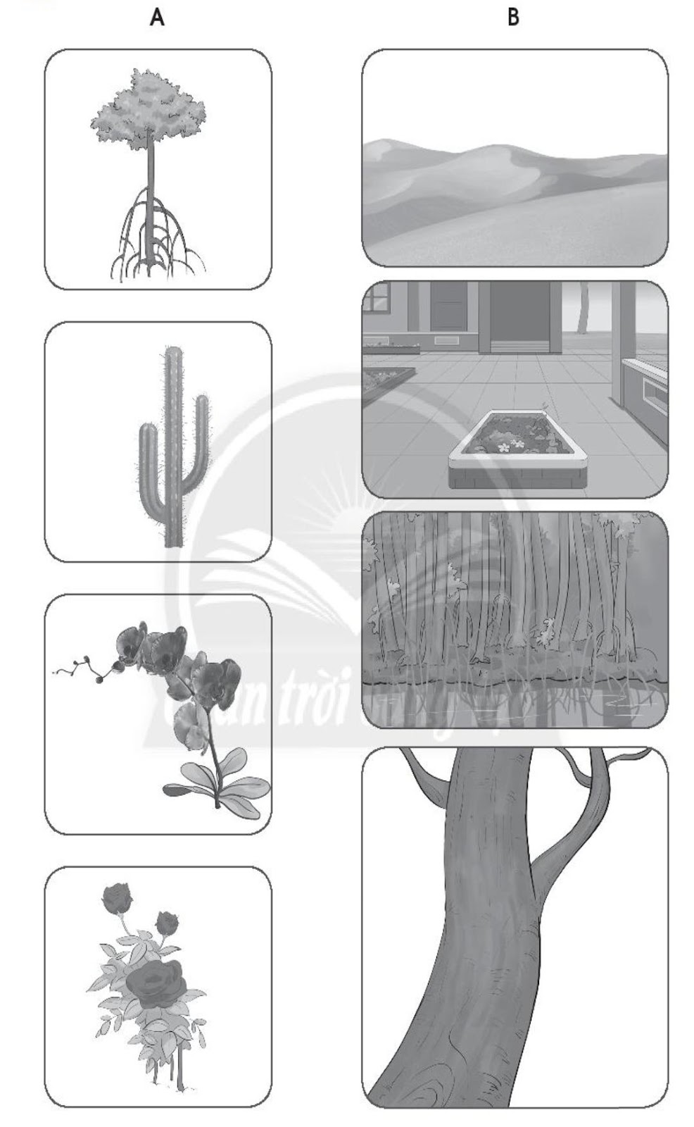 20240619022750iai bai 14 thuc vat song o dau trang 42 43 44 vo bai tap tu nhien va xa hoi lop 2 sach chan troi sang tao 1680064556 1