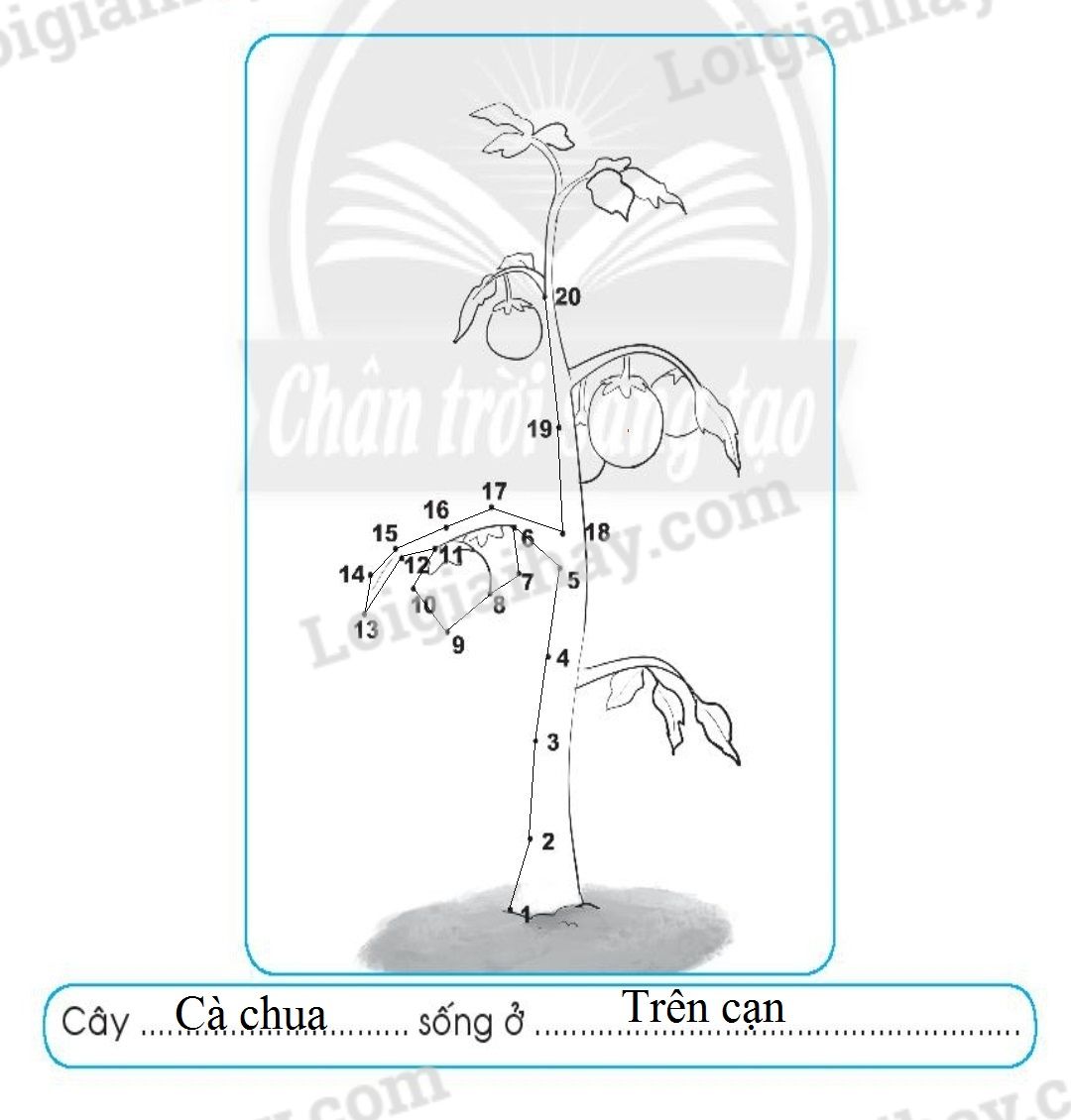 20240619022750trang 44 hinh 4