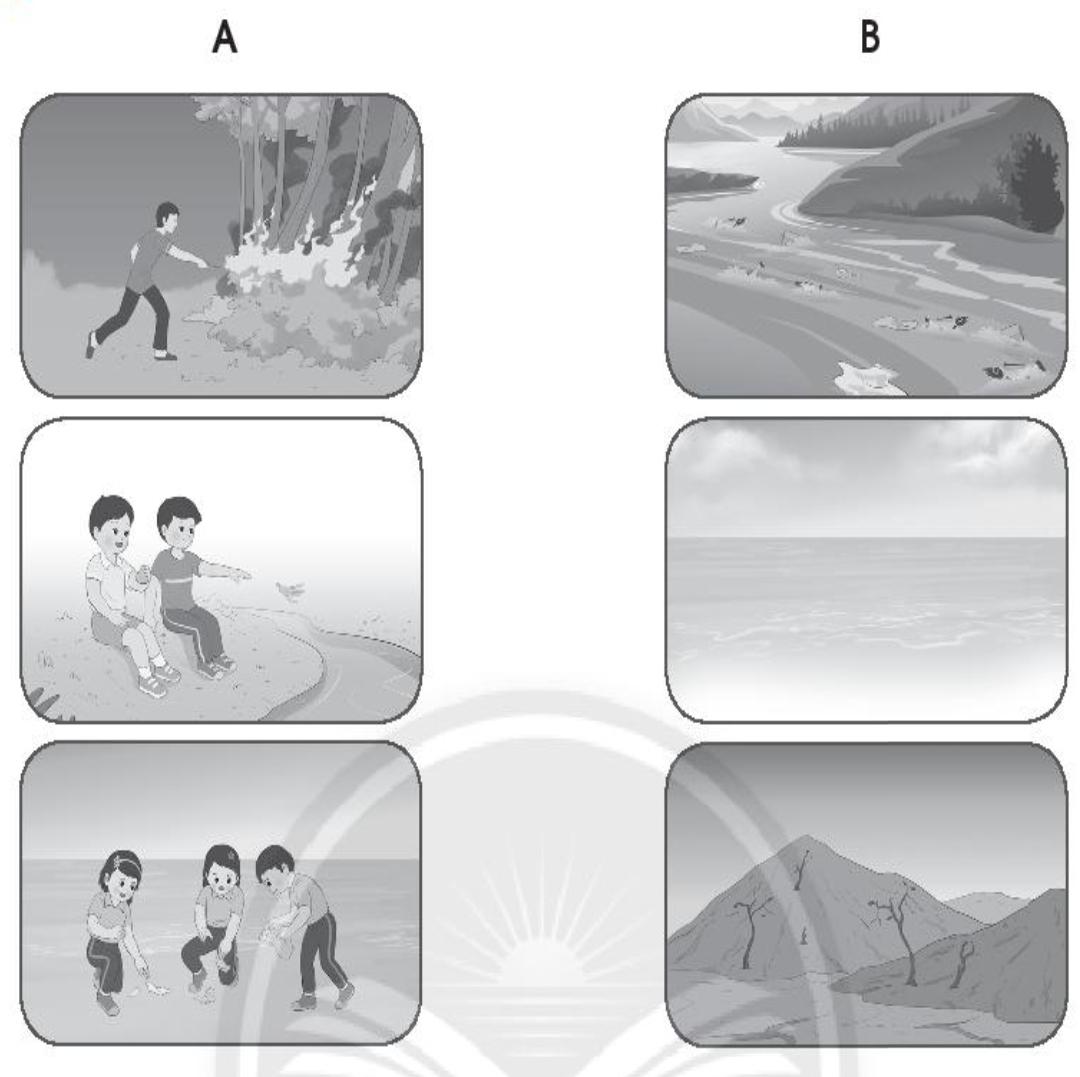 20240619022756iai bai 16 bao ve moi truong song cua dong vat va thuc vat trang 48 49 50 vo bai tap tu nhien va xa hoi lop 2 sach chan troi sang tao 1680064572 1