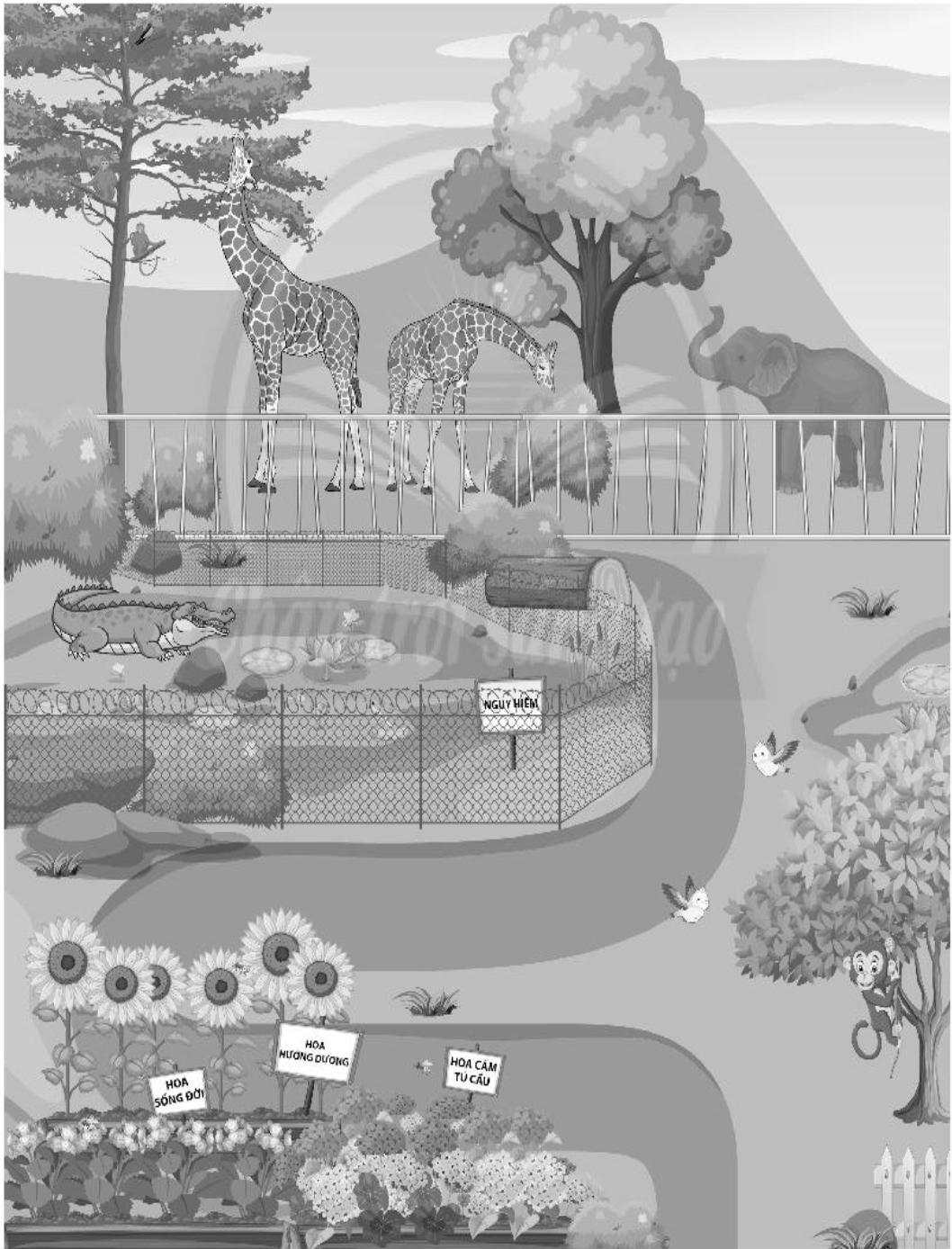 20240619022759giai bai 17 thuc hanh tim hieu moi truong song cua thuc vat va dong vat trang 51 52 vo bai tap tu nhien va xa hoi lop 2 sach chan troi sang tao 1680064624