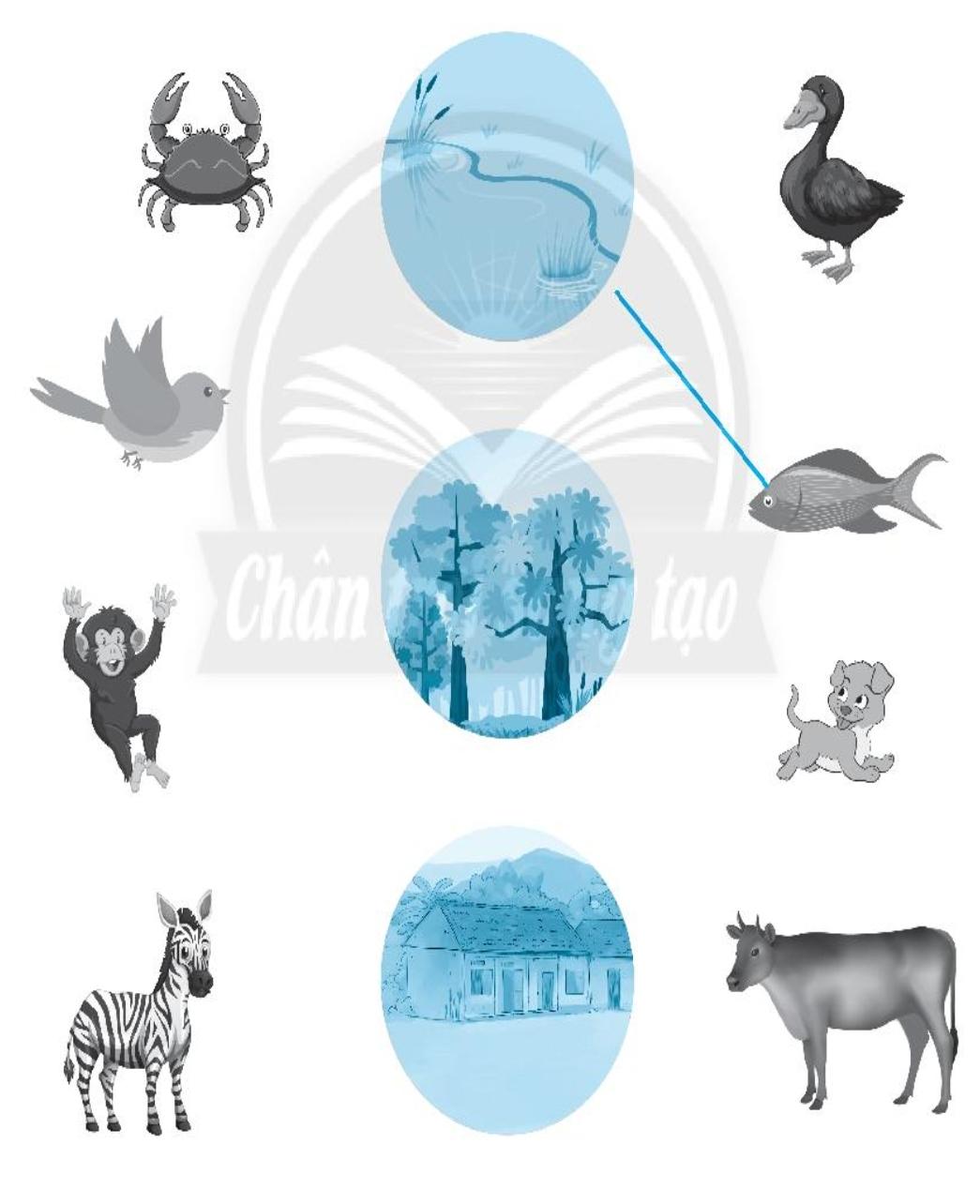 20240619022801giai bai 18 on tap chu de thuc vat va dong vat trang 53 54 55 vo bai tap tu nhien va xa hoi lop 2 sach chan troi sang tao 1680064630