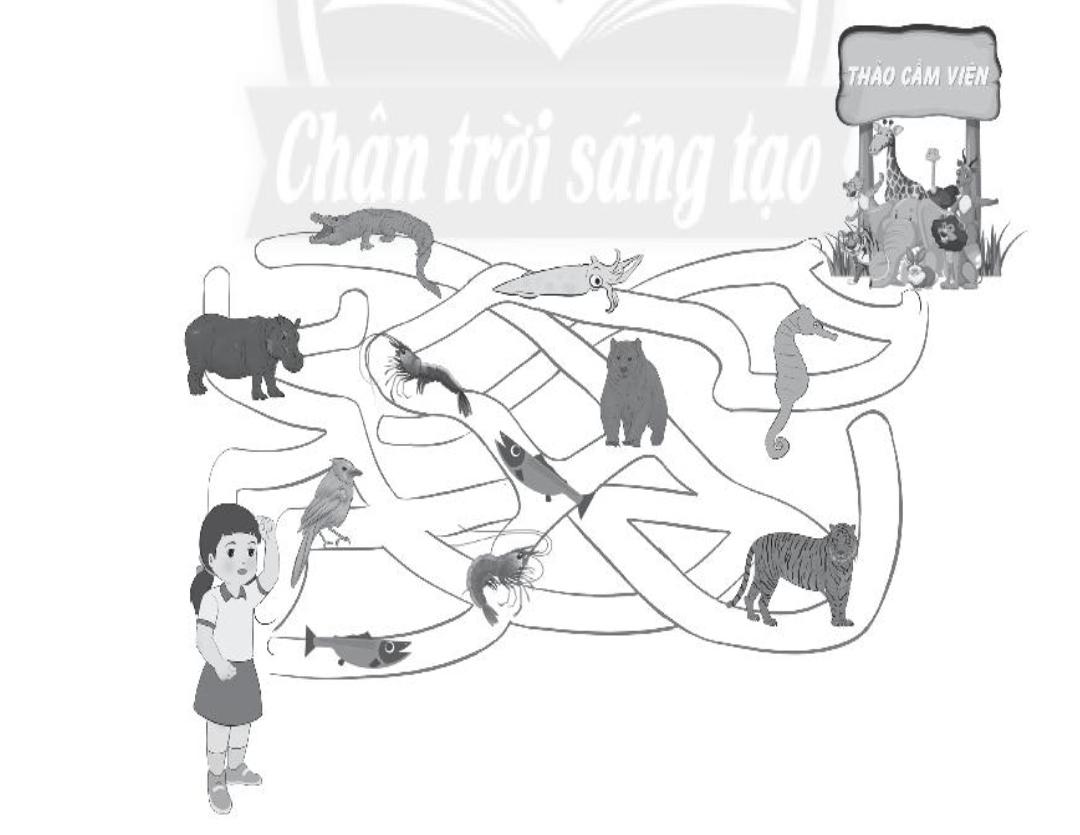 20240619022801iai bai 18 on tap chu de thuc vat va dong vat trang 53 54 55 vo bai tap tu nhien va xa hoi lop 2 sach chan troi sang tao 1680064630 2