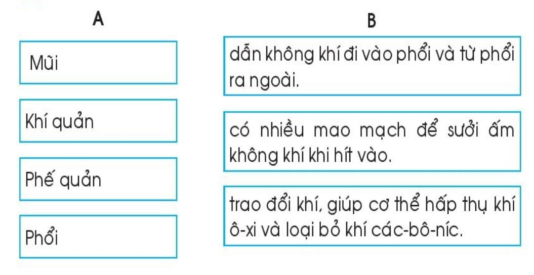 20240619022809iai-bai-21-co-quan-ho-hap-trang-62-63-64-vo-bai-tap-tu-nhien-va-xa-hoi-lop-2-sach-chan-troi-sang-tao-1680064649_1 20240619022809iai bai 21 co quan ho hap trang 62 63 64 vo bai tap tu nhien va xa hoi lop 2 sach chan troi sang tao 1680064649 1