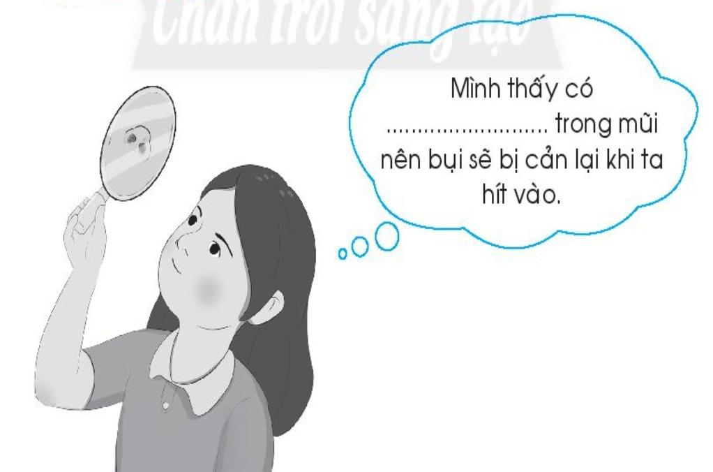 20240619022809iai-bai-21-co-quan-ho-hap-trang-62-63-64-vo-bai-tap-tu-nhien-va-xa-hoi-lop-2-sach-chan-troi-sang-tao-1680064649_3 20240619022809iai bai 21 co quan ho hap trang 62 63 64 vo bai tap tu nhien va xa hoi lop 2 sach chan troi sang tao 1680064649 3