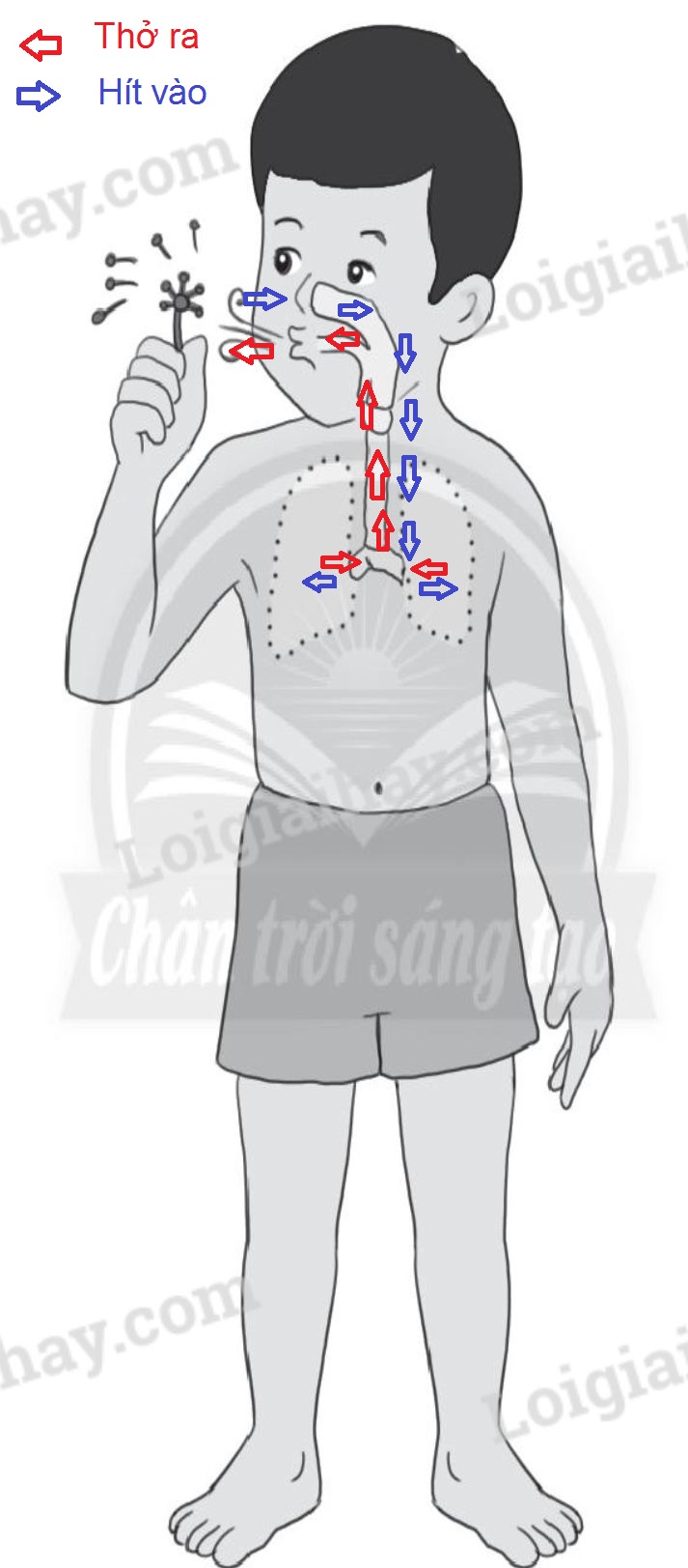 20240619022809screenshot-20211216-111534-chrome_1 20240619022809screenshot 20211216 111534 chrome 1