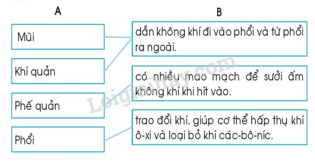 20240619022809trang-63-hinh-2 20240619022809trang 63 hinh 2