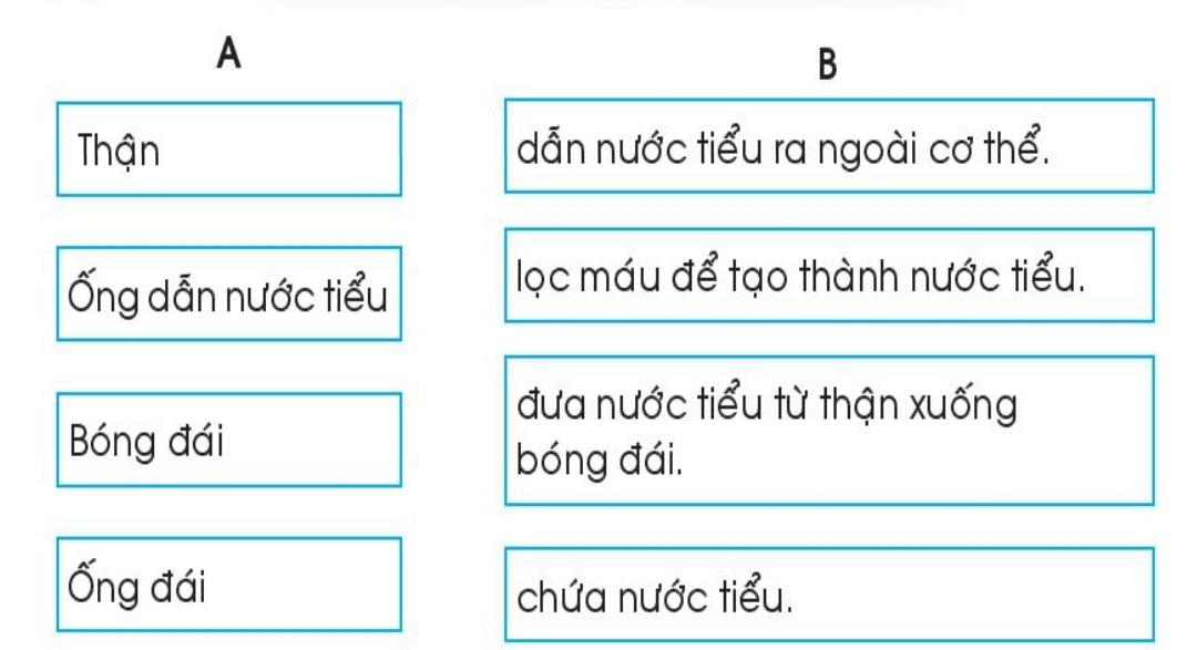 20240619022815iai-bai-23-co-quan-bai-tiet-nuoc-tieu-trang-68-69-vo-bai-tap-tu-nhien-va-xa-hoi-lop-2-sach-chan-troi-sang-tao-1680064667_1 20240619022815iai bai 23 co quan bai tiet nuoc tieu trang 68 69 vo bai tap tu nhien va xa hoi lop 2 sach chan troi sang tao 1680064667 1