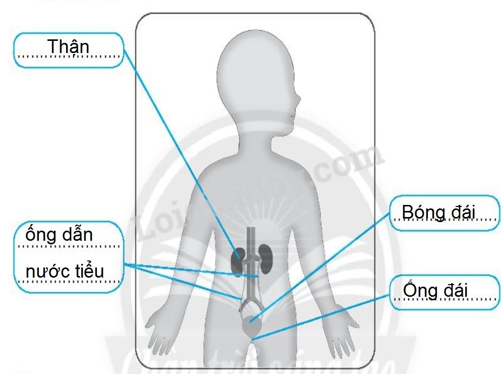 20240619022815screenshot-20211216-111722-chrome 20240619022815screenshot 20211216 111722 chrome